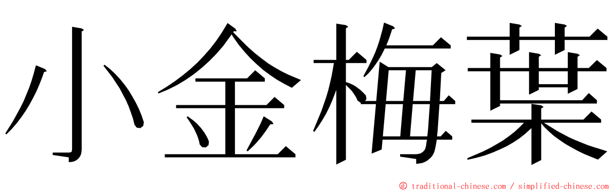 小金梅葉 ming font
