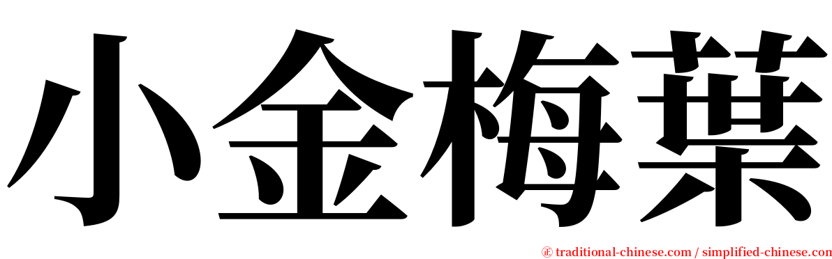 小金梅葉 serif font