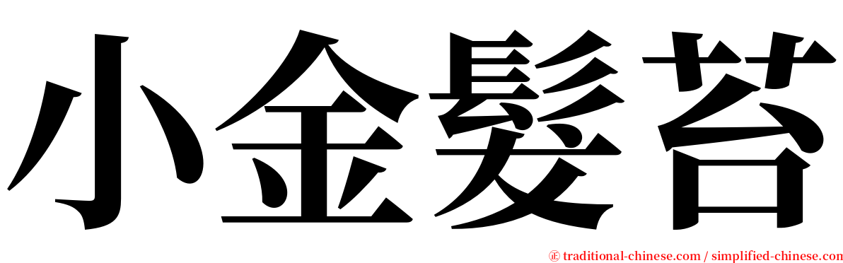 小金髮苔 serif font