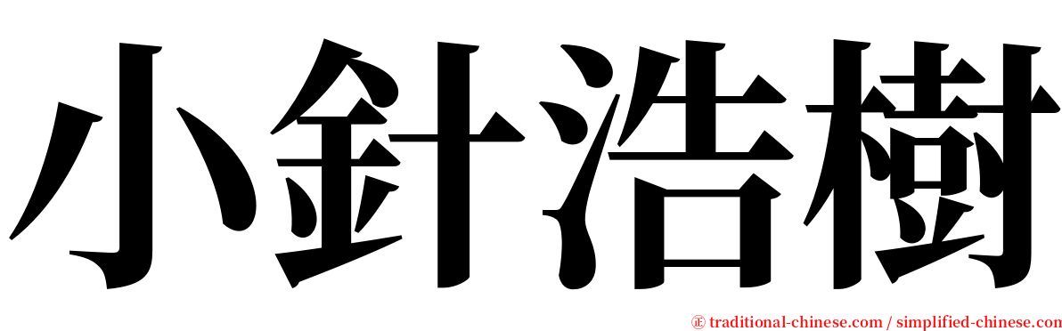 小針浩樹 serif font