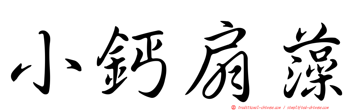小鈣扇藻