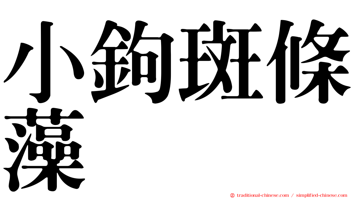 小鉤斑條藻