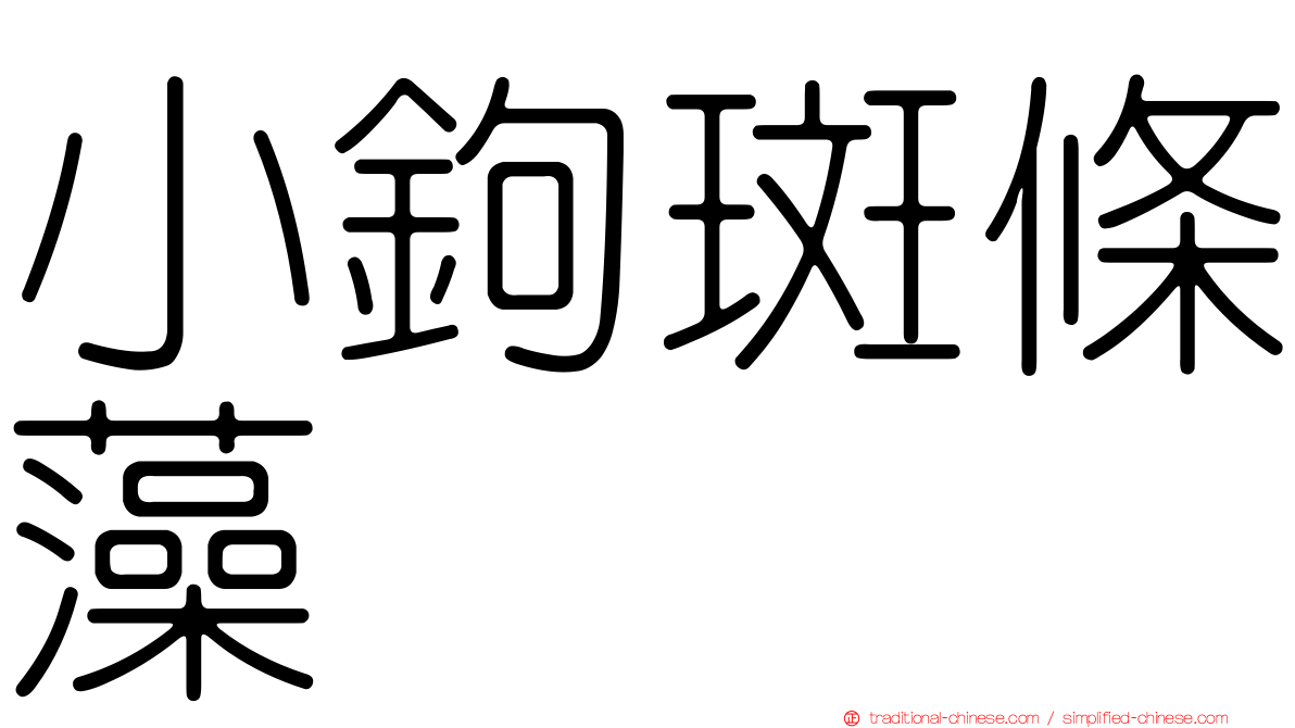 小鉤斑條藻