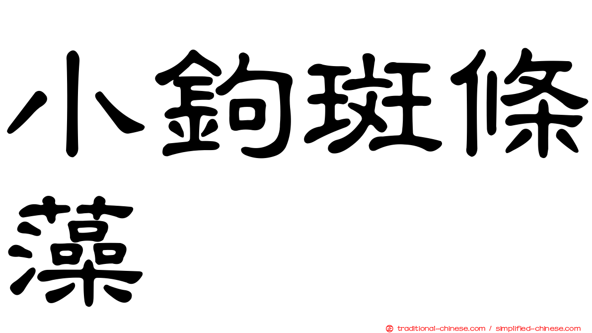 小鉤斑條藻