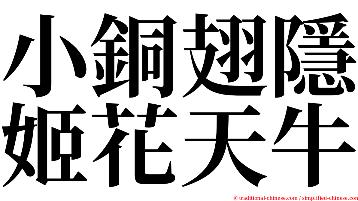 小銅翅隱姬花天牛 serif font