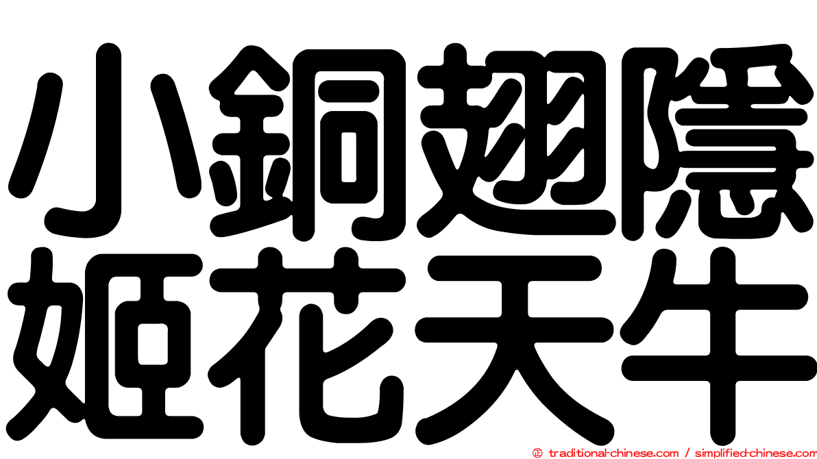 小銅翅隱姬花天牛