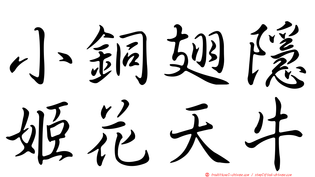 小銅翅隱姬花天牛