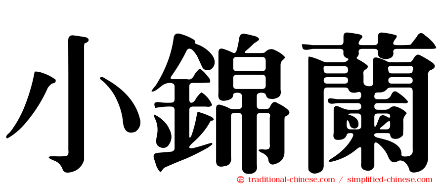 小錦蘭