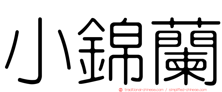 小錦蘭