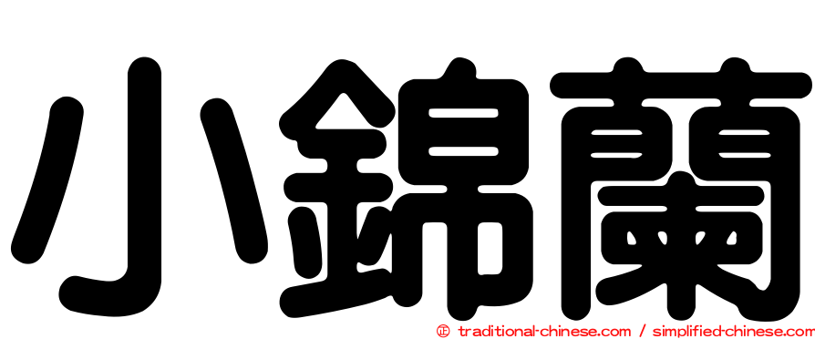 小錦蘭