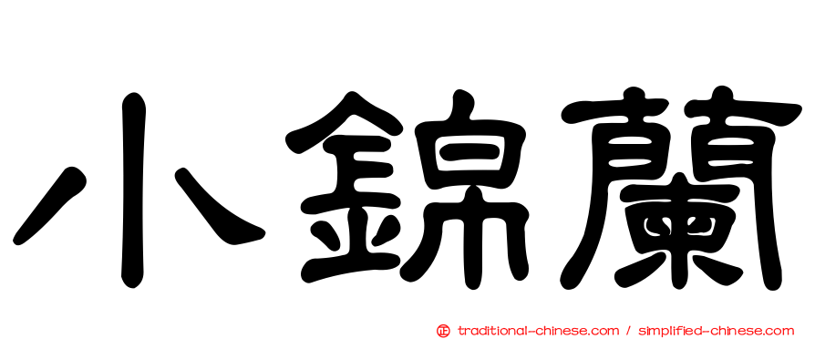 小錦蘭