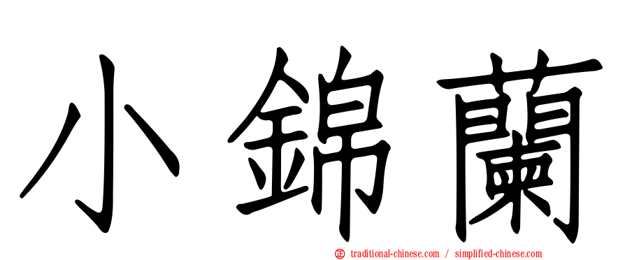 小錦蘭