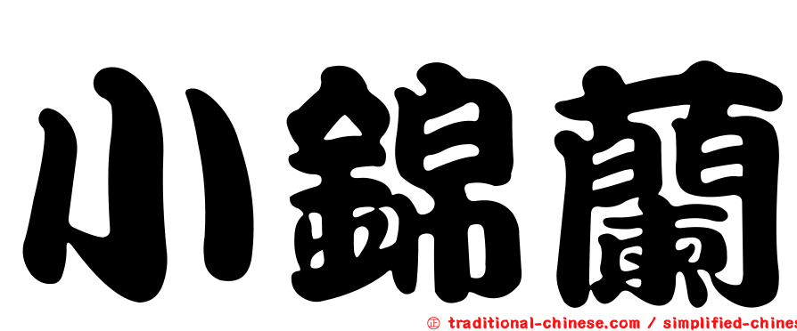 小錦蘭