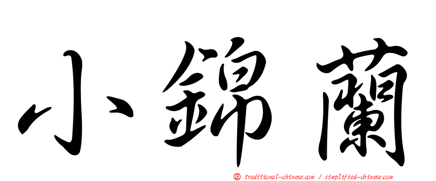 小錦蘭