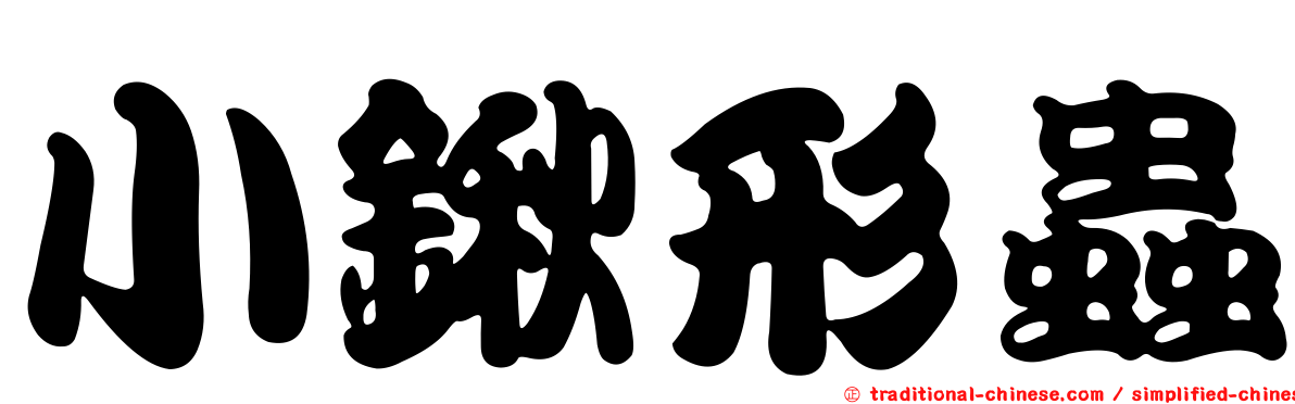 小鍬形蟲