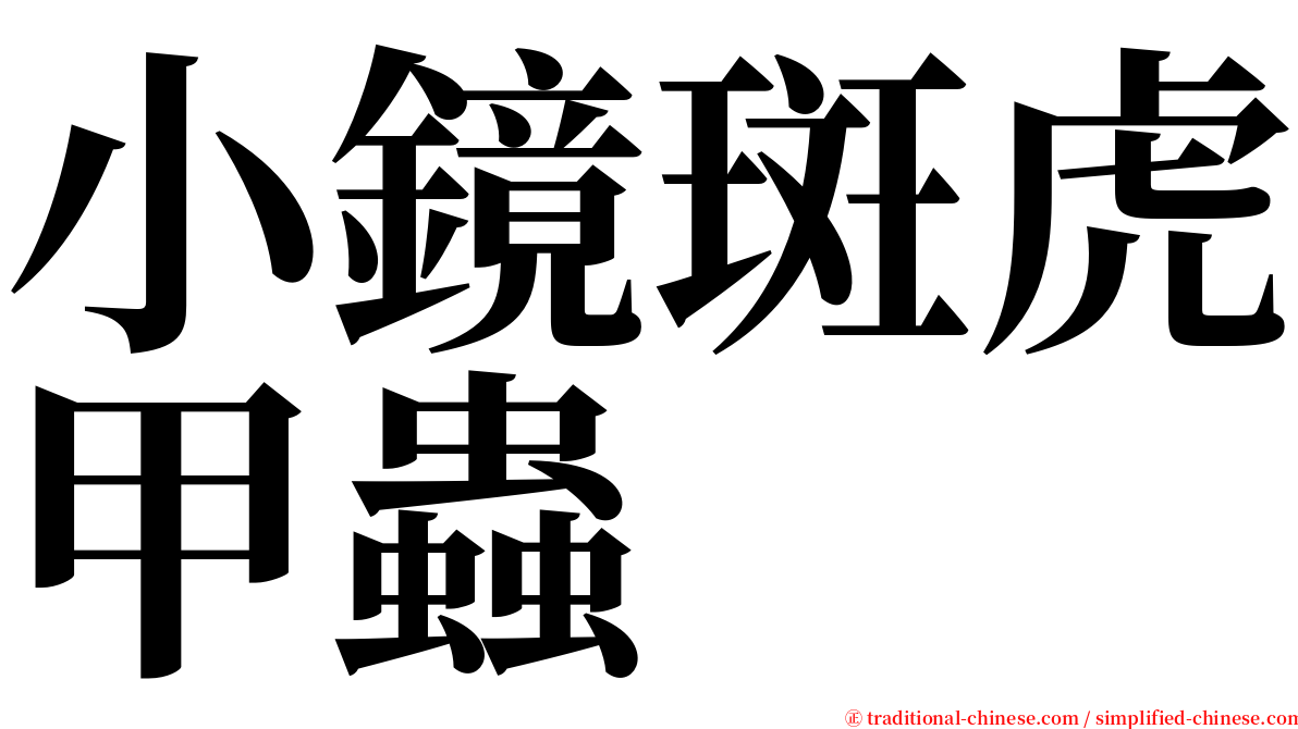 小鏡斑虎甲蟲 serif font