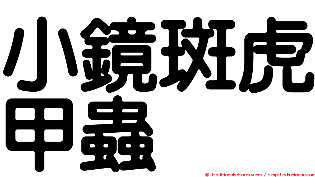 小鏡斑虎甲蟲