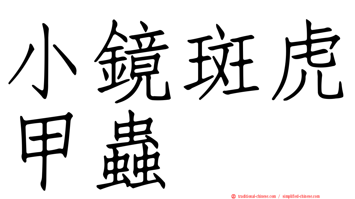 小鏡斑虎甲蟲