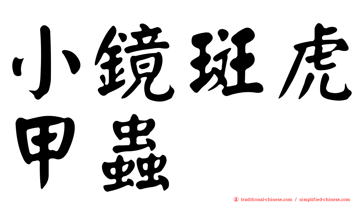 小鏡斑虎甲蟲