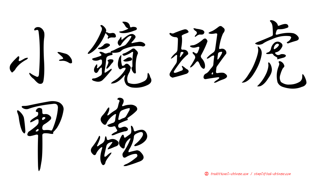 小鏡斑虎甲蟲