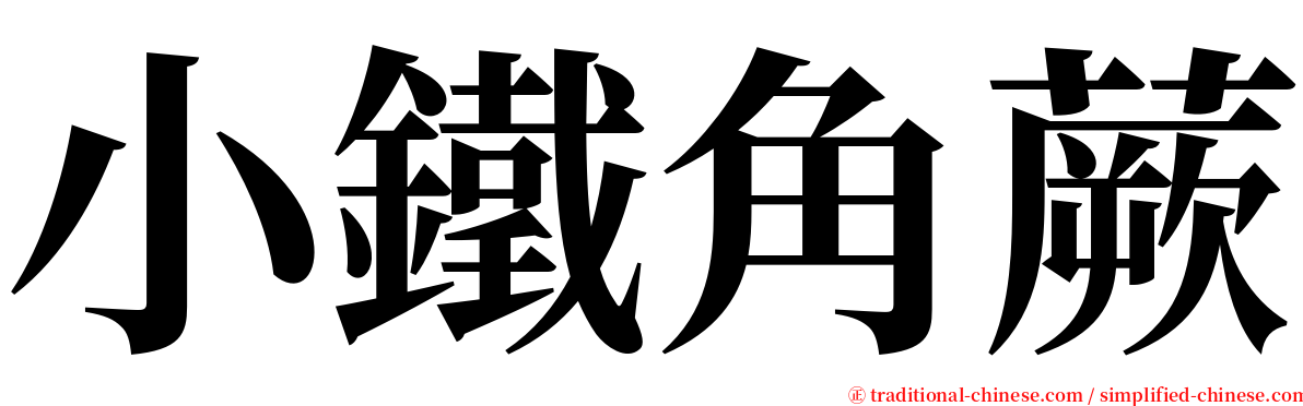 小鐵角蕨 serif font