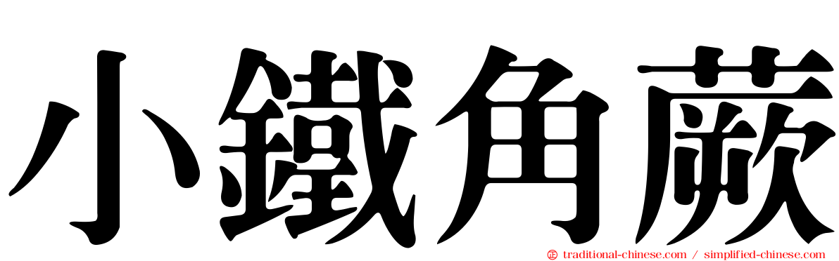 小鐵角蕨