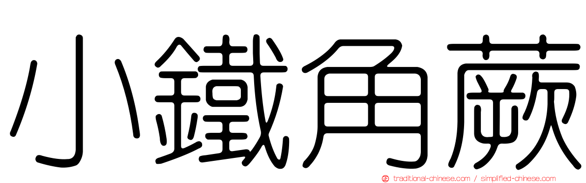 小鐵角蕨