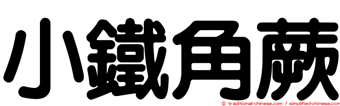 小鐵角蕨