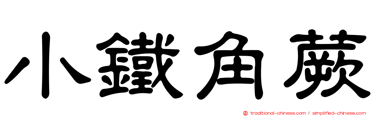 小鐵角蕨