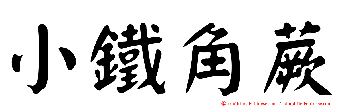 小鐵角蕨