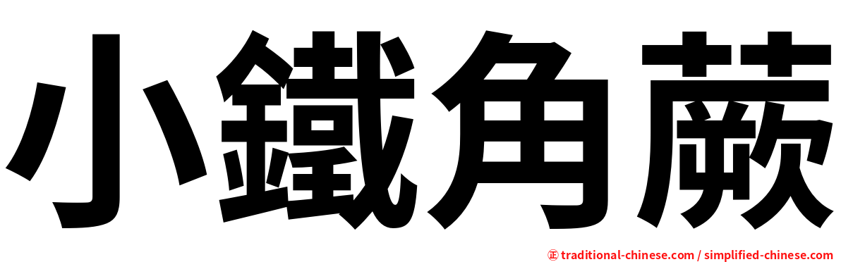 小鐵角蕨