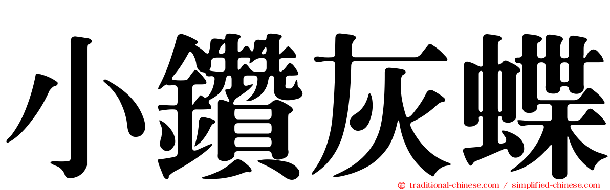 小鑽灰蝶