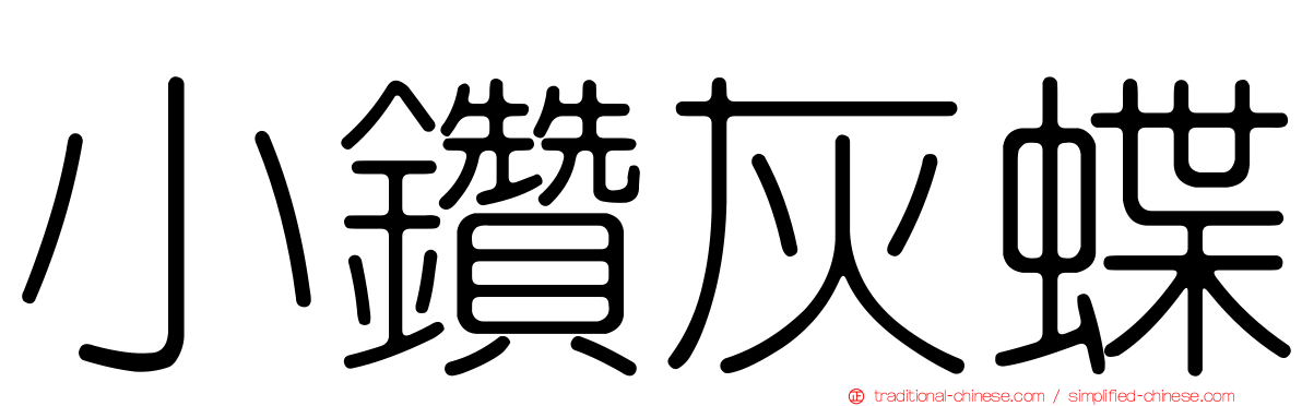 小鑽灰蝶