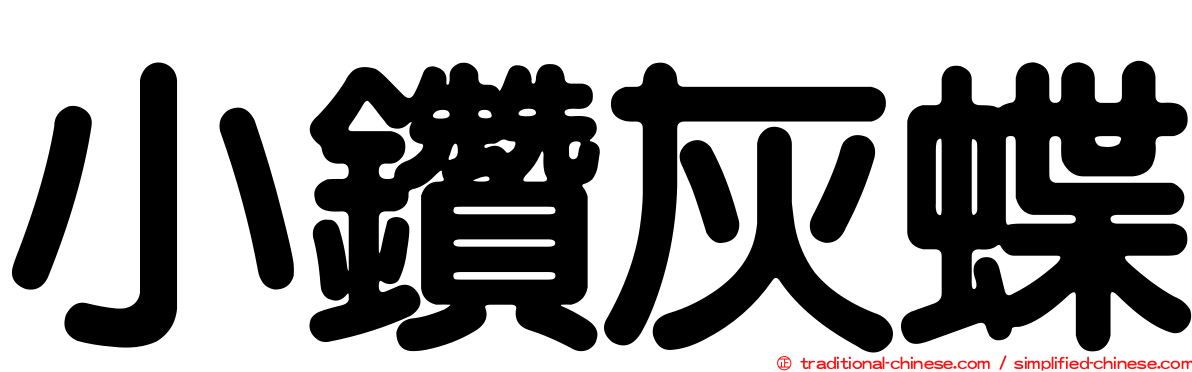 小鑽灰蝶
