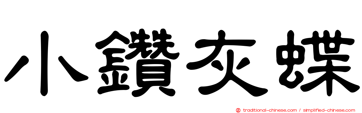 小鑽灰蝶