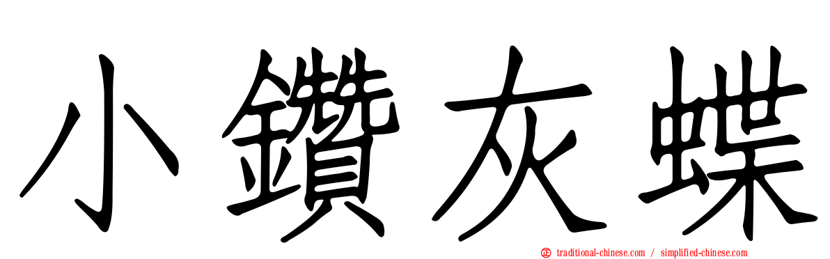 小鑽灰蝶