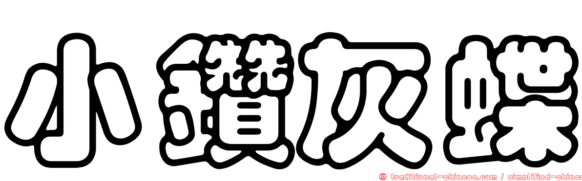 小鑽灰蝶