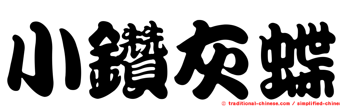 小鑽灰蝶