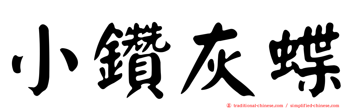 小鑽灰蝶