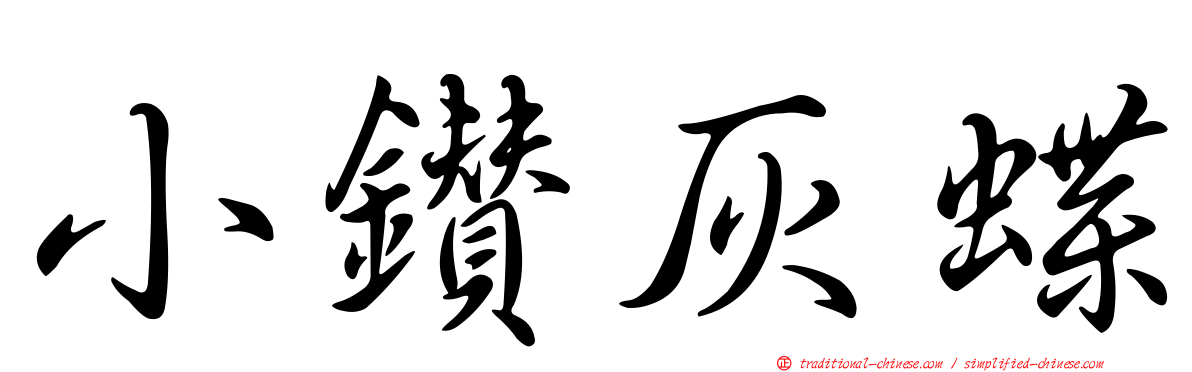 小鑽灰蝶