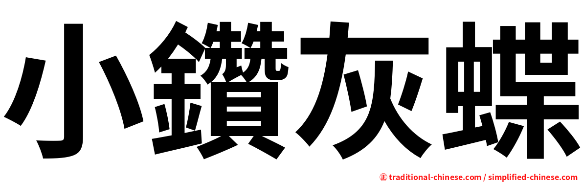 小鑽灰蝶