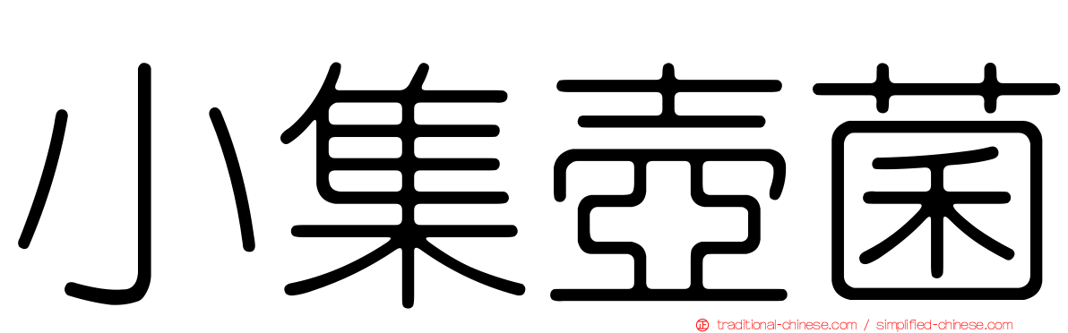 小集壺菌