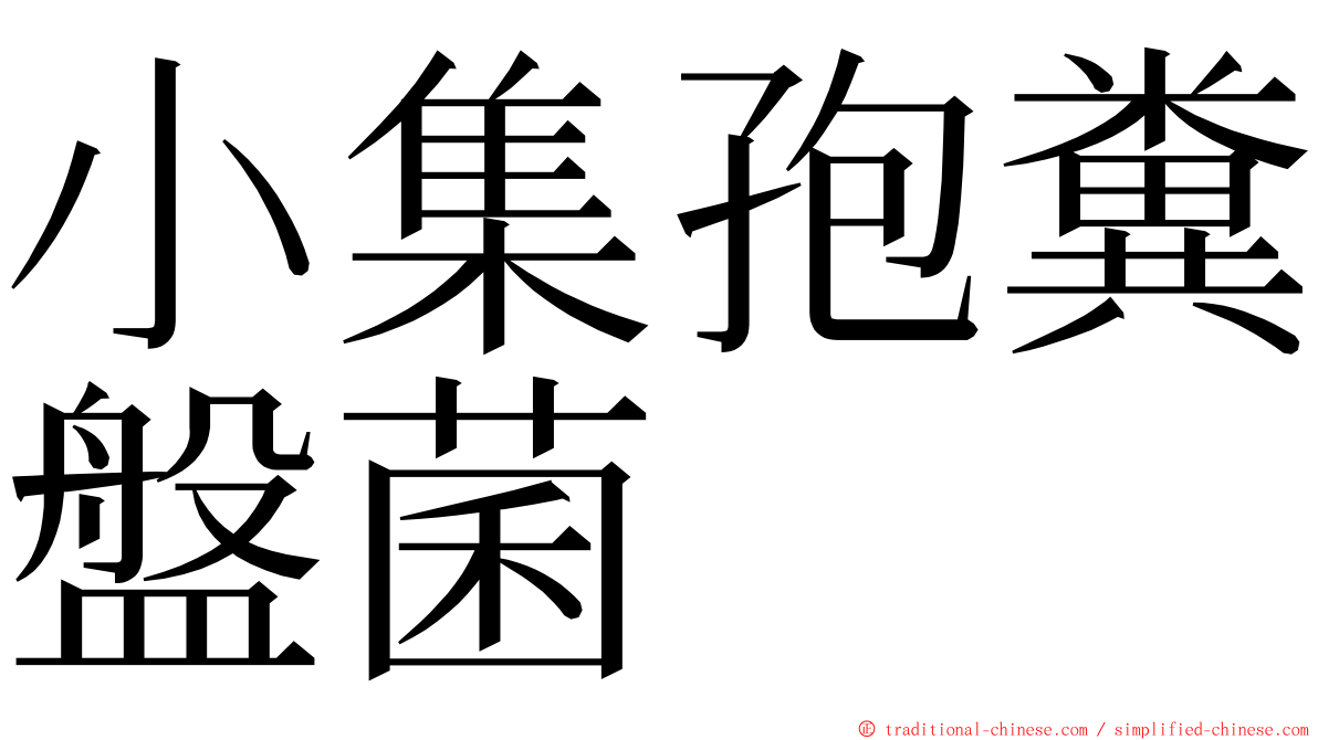 小集孢糞盤菌 ming font
