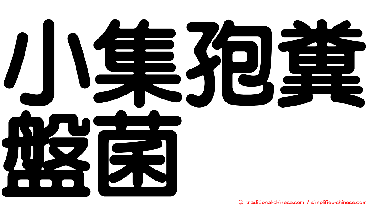 小集孢糞盤菌