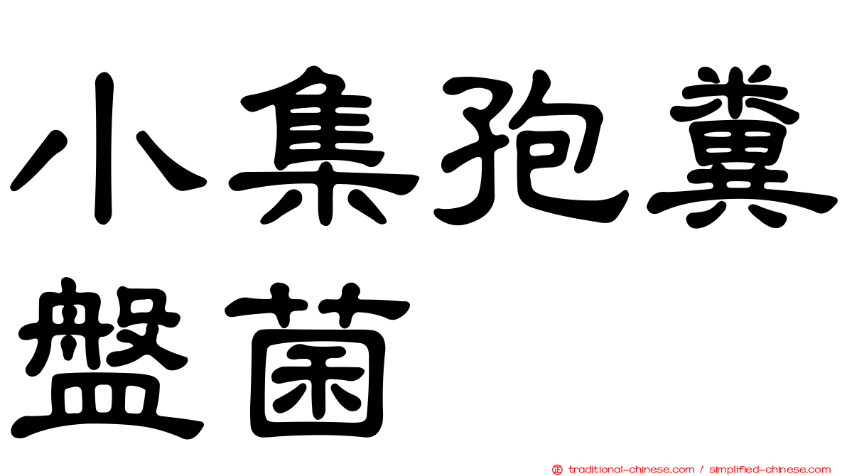 小集孢糞盤菌