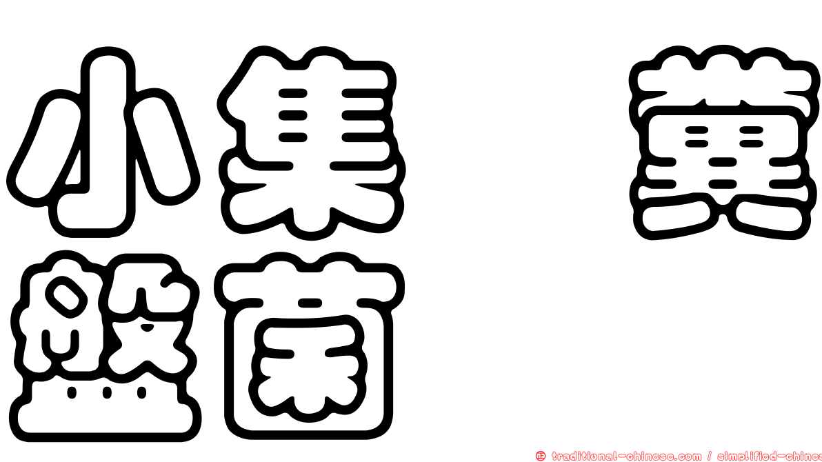 小集孢糞盤菌