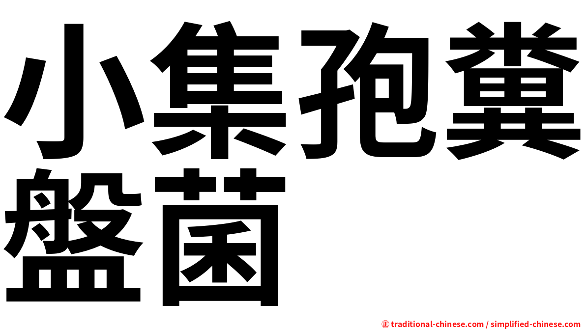 小集孢糞盤菌