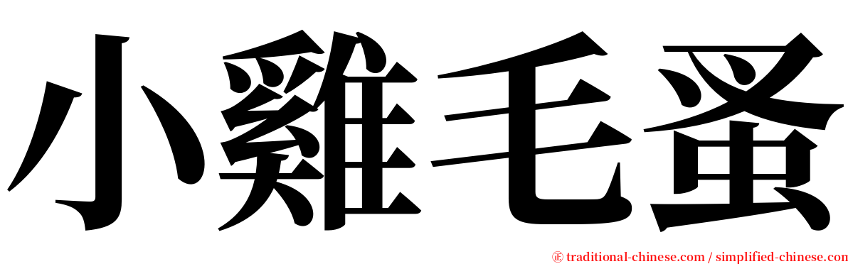 小雞毛蚤 serif font