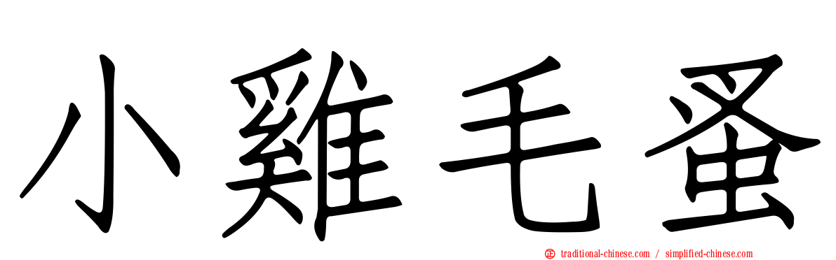 小雞毛蚤