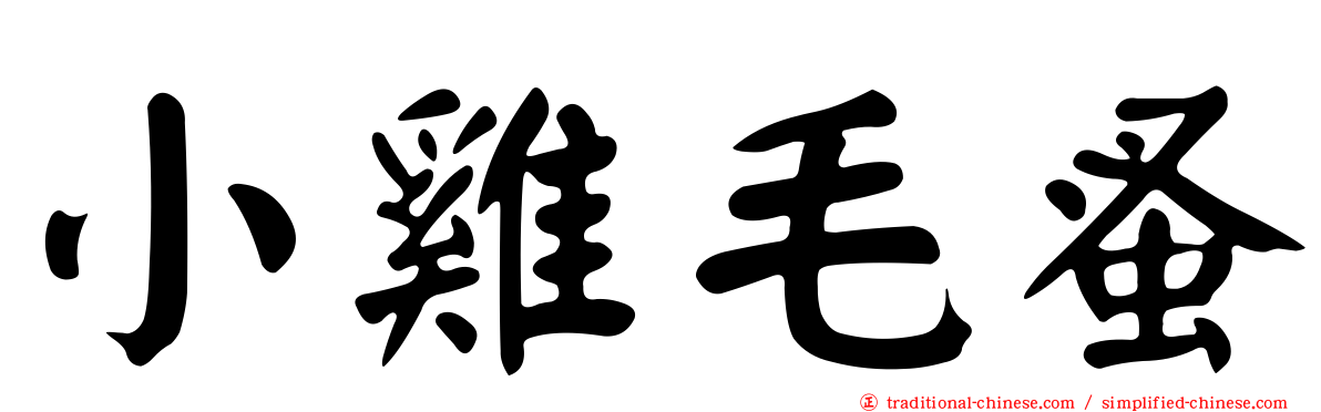 小雞毛蚤